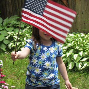 Thank you Veterans!